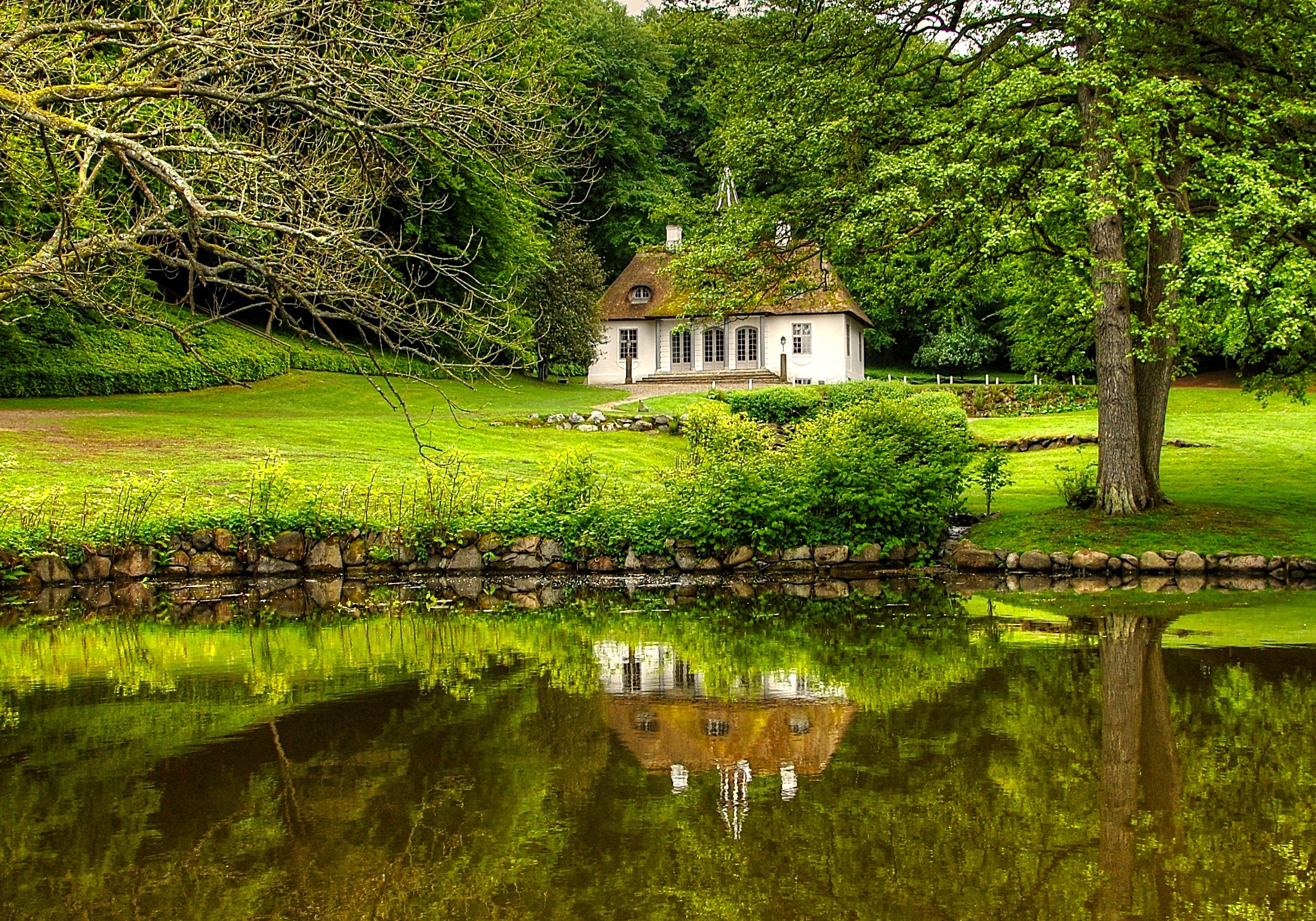 house behind pond